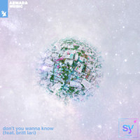 don't you wanna know(feat. britt lari)_Syence,Britt Lari