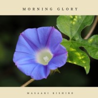 Morning Glory_岸部真明
