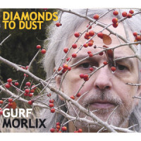 Diamonds To Dust_Gurf Morlix