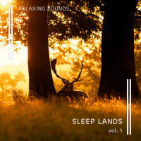 Journey of Dream Calm Tunes pt. 2_Deep Sleep