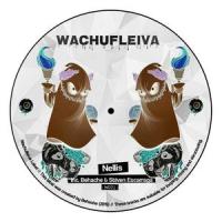 Wachufleiva 21-1_Nellis