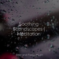 Healing Guru_Relaxing Sleep Sound,Sleepy Times,Native American Flute