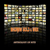 Thank You For Being A Friend_Andrew Gold