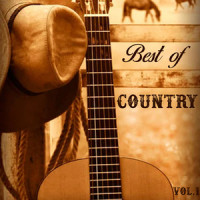 Don´t Think Twice_Waylon Jennings