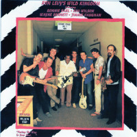 Must Have Missed a Turn Somewhere(feat. Jimmie Vaughan & Kim Wilson)_Ron Levy's Wild Kingdom,Jimmie Vaughan,Kim Wilson