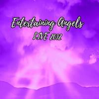 Entertaining Angels 2012_Tim Pepper,Timothy Lloyd Pepper