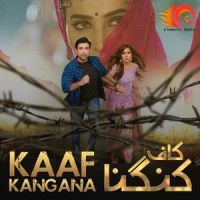 Tu Pita Hai_Sahir Ali Bagga