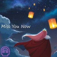 Miss You Now_DHeusta,Endicott,bakoozla,ButterscotchBread,Precious Jewel Armor,Fenyx,WYN,Wassup_MKJ,DROPSTER,Halfy,Winks