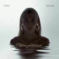 Pietre Pretioase_ANDIA,Guess Who