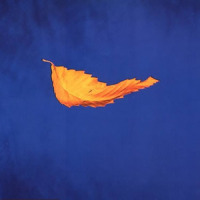 True Faith (Philip Steir Edit)_New Order