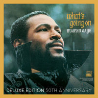 Mercy Mercy Me(The Ecology)_Marvin Gaye