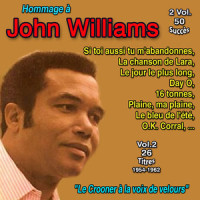 Summertime (c'est lété)_John Williams