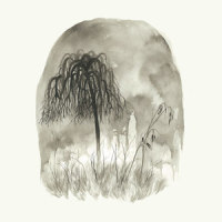 No Word of a Lie_Woodpigeon