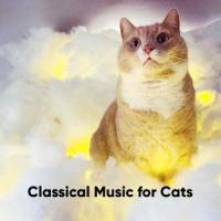 Wiegenlied No. 4 Lullaby in E Flat Major, Op. 49_Classical Music for Cats,Johannes Brahms