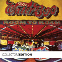 Bigger Picture_The Waterboys