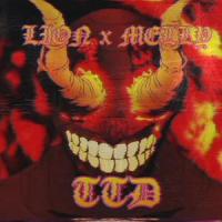 TTD (feat. Melly)_Lion,Melly