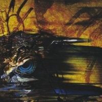 ecdysis_lynch.