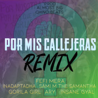 Por mis Callejeras_Fefi Mera feat. Sami M the Samantha,Inadaptadha,Gorila Girl,Insane Gyal,Ary