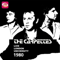 Waiting for the dark_The Carpettes