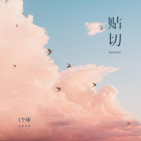 贴切_1个球