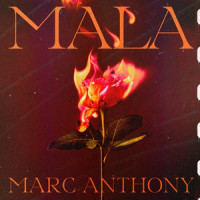 Mala_Marc Anthony
