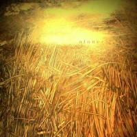 Summer Daze_Galapaghost