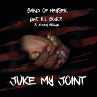 Let Me Take You To My Place_Band Of Heysek,Kenny Brown,R.L Boyce