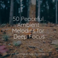 Ocean Sunrise_Wellness,Study Music,Rain Storm Sample Library