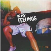 In My Feelings_Kid Travis