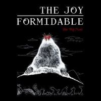Anemone_The Joy Formidable