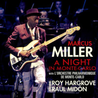 STRANGE FRUIT_Marcus Miller