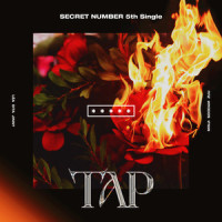 TAP_SECRET NUMBER