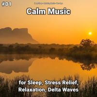 Relaxing Music for Sleep_New Age,Relaxing Music,Deep Sleep