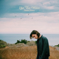 Like the Water_Patrick Droney