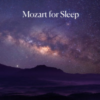 Mozart: Mozart: Litaniae de venerabili altaris sacramento in E flat, K.243: 6. Dulcissimum convivium_Margaret Marshall,The Choir of St John’s Cambridge,The Wren Orchestra,George Guest