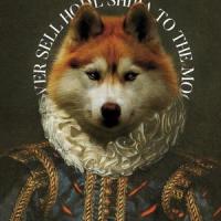 Shiba Gang_Mandragora
