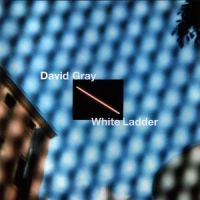 Nightblindness_David Gray