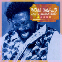 Everything I Do Is Wrong_Son Seals