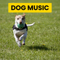 Keeping a Doggo's Stress Away_Sleepy Dogs,Cat Music,Dog Music