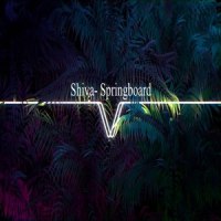 Springboard_Shiva