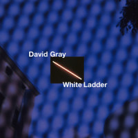 Please Forgive Me_David Gray