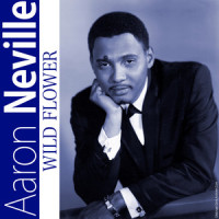 Show Me The Way_Aaron Neville