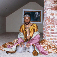 Free The Frail_JPEGMAFIA,Helena Deland