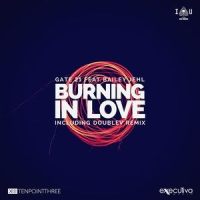 Burning in Love_Gate 21,Bailey Jehl