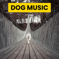 Delightful Focused Puppy_Sleepy Dogs,Cat Music,Dog Music