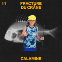 Fracture du crâne_Calamine,Ariane Moffatt