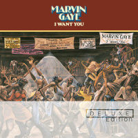 I Want You_Marvin Gaye