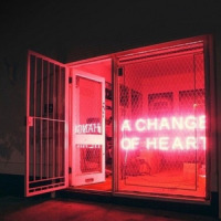 is u staying ?_NO1-NOAH