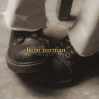 Selwood Farm_Bebo Norman