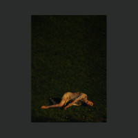 Wolf_Yeah Yeah Yeahs,Boys Noize
